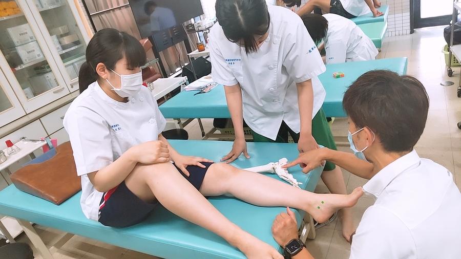 スポーツ鍼灸の実際―最新の理論と実践 スポーツ鍼灸の実際―最新の理論と実践 | 赤間 高雄, 石井 朝夫